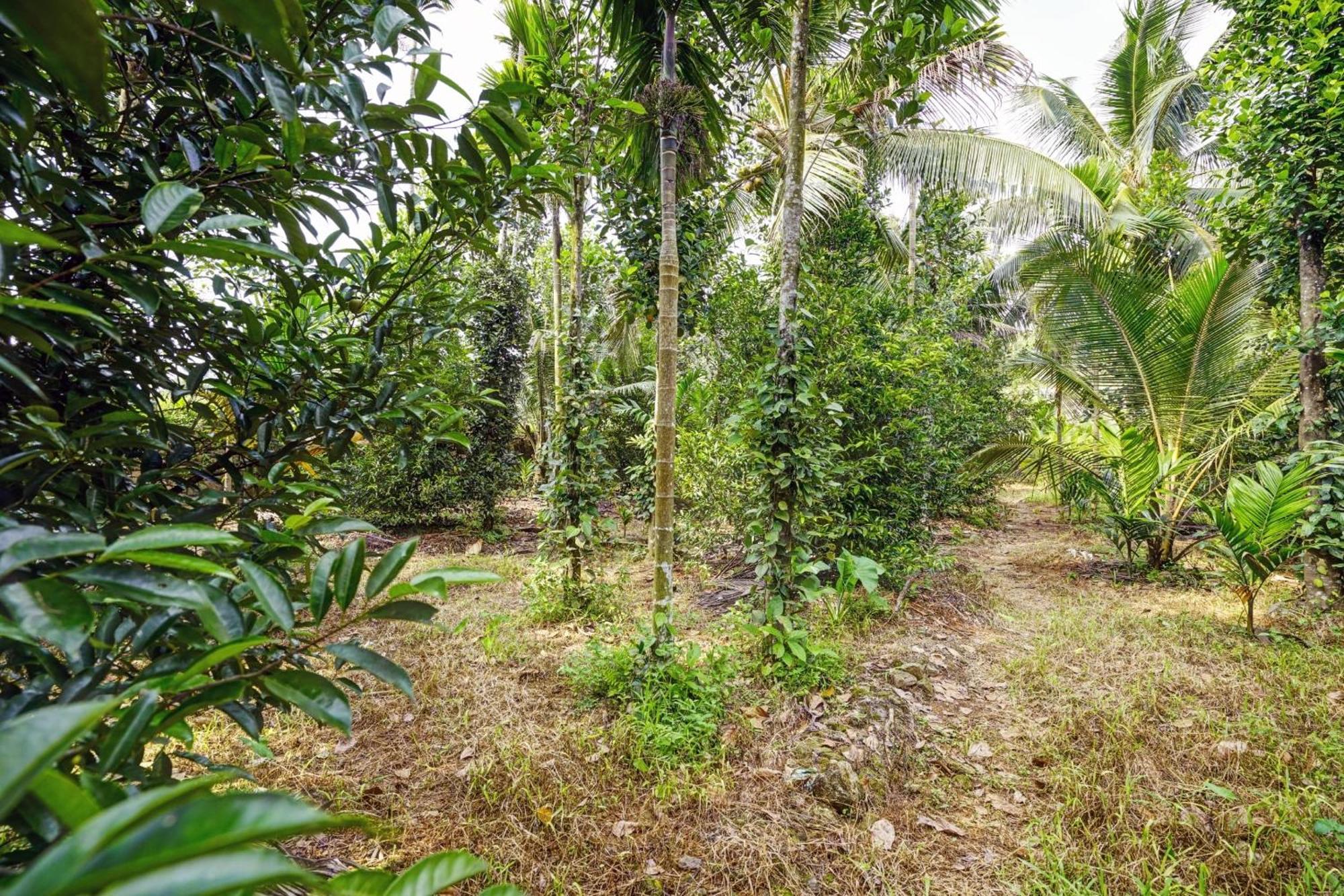 Spot On Shalom Palace Residency Neriyamangalam Bagian luar foto