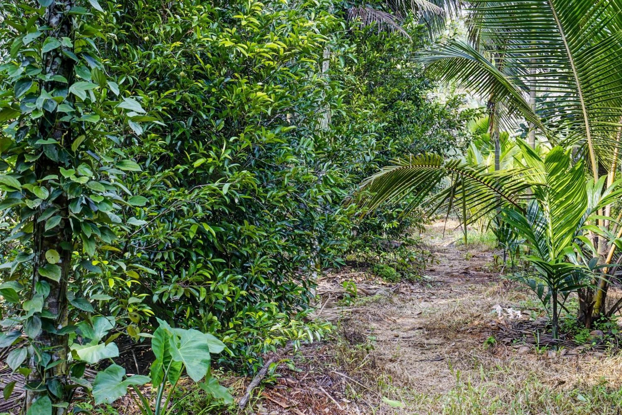 Spot On Shalom Palace Residency Neriyamangalam Bagian luar foto