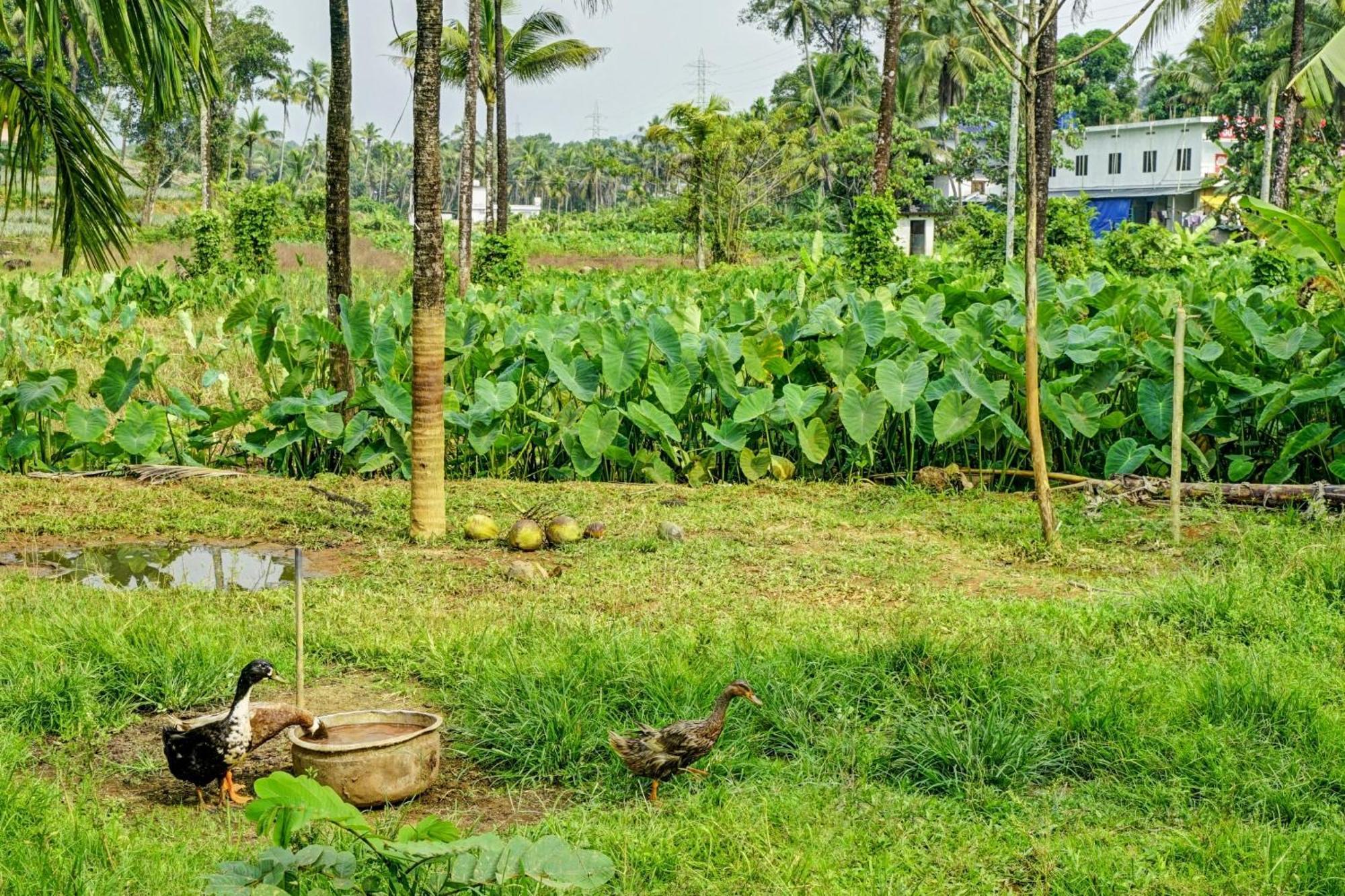 Spot On Shalom Palace Residency Neriyamangalam Bagian luar foto